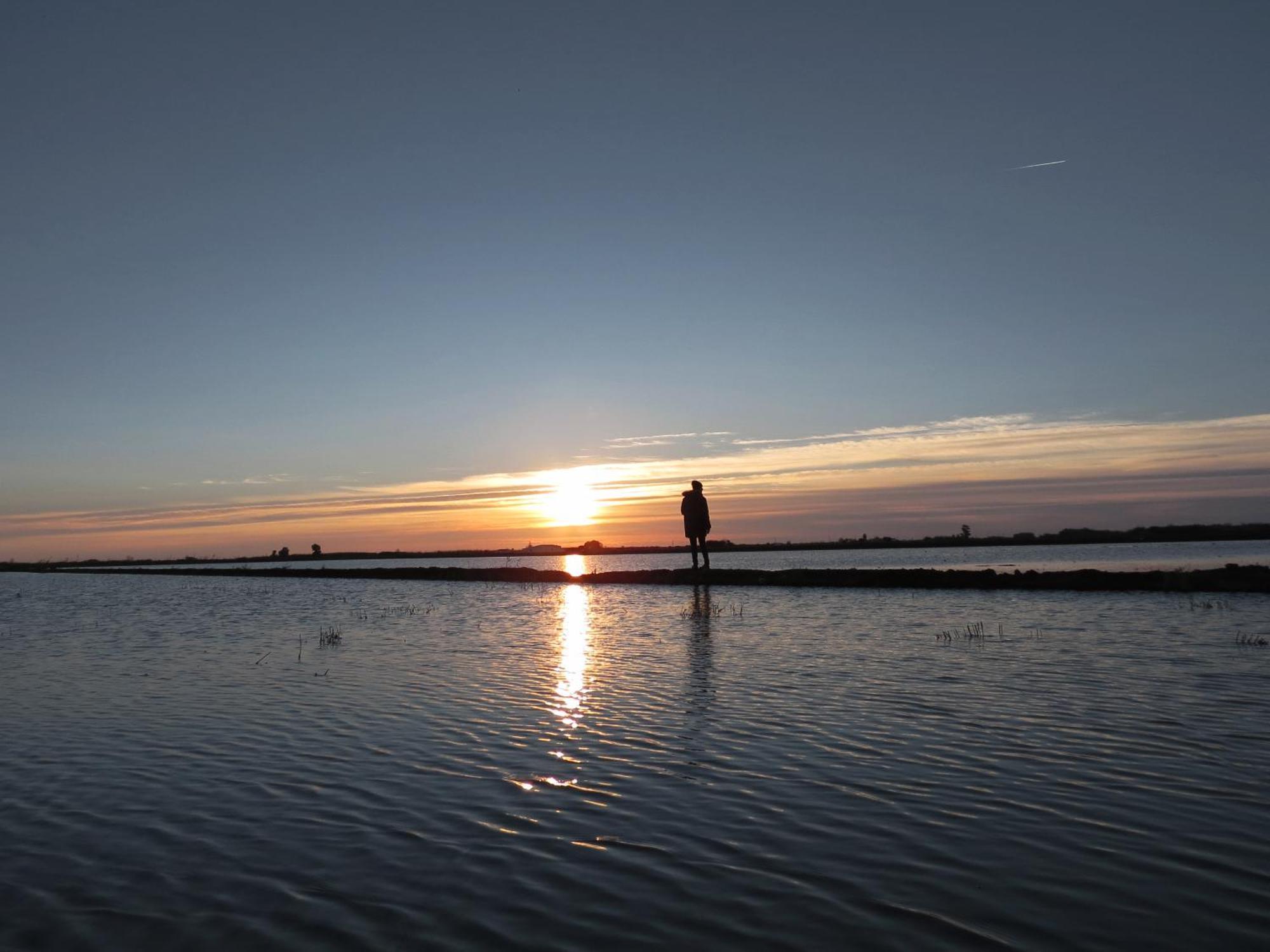 La Caseta Del Canal Deltebre